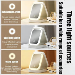 The Glow & Go™ Organizer – Portable Travel LED Makeup Organizer with Mirror